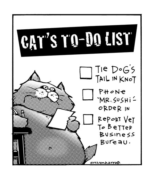 Cat's 'To Do' list.