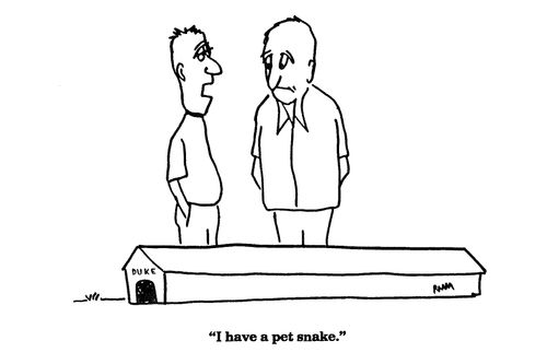 'I have a pet snake.'