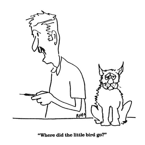 'Where did the little bird go?'