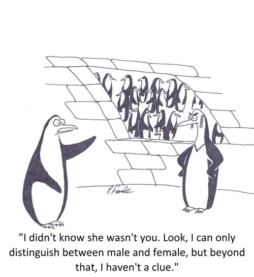 'I didn't know she wasn't you. Look, I can only distinguish between male and female, but beyond that, I haven't a clue.'