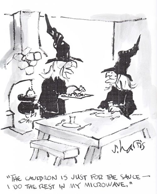 'The cauldron is just for the sauce -  I do the rest in my microwave.'