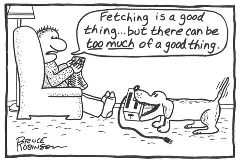 'Fetching is a good thing...but there can be TOO MUCH of a good thing.'