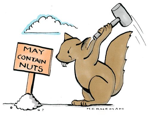 Squirrel placing a sign that reads, 'May contain nuts'.