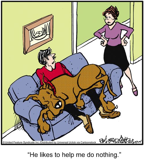 'He likes to help me do nothing.'