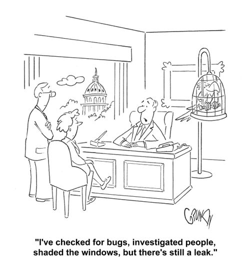 'I've checked for bugs, investigated people, shaded the windows, but there's still a leak.'