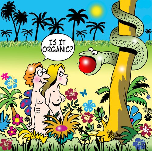 'Is it organic?'