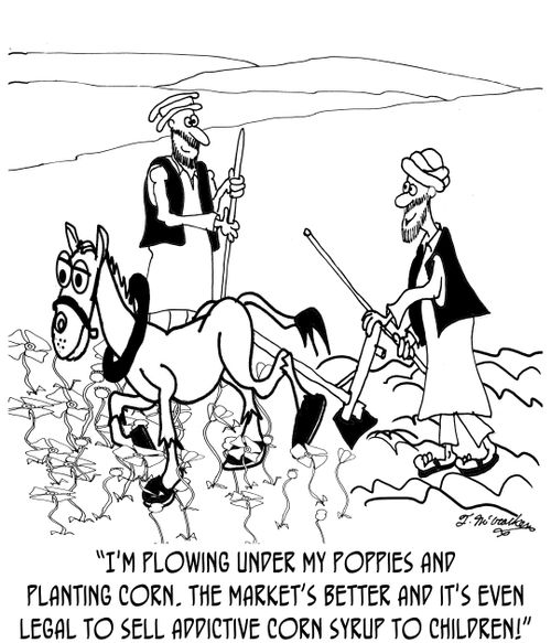'I'm plowing under my poppies and planting corn. The market's better and it's even legal to sell addictive corn syrup to children!'