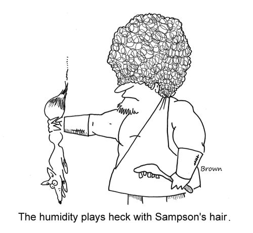 The humidity plays heck with Sampson's hair.