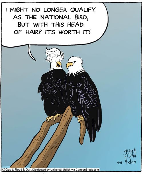 'I might no longer qualify as the national bird, but with this head of hair? It's worth it!'