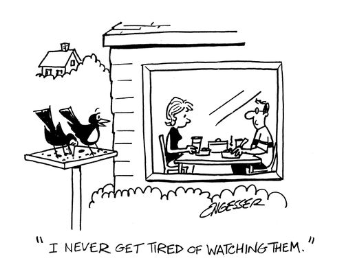 'I never get tired of watching them.'
