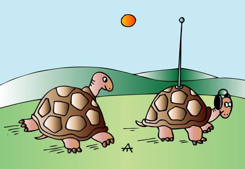Turtle with Aerial.