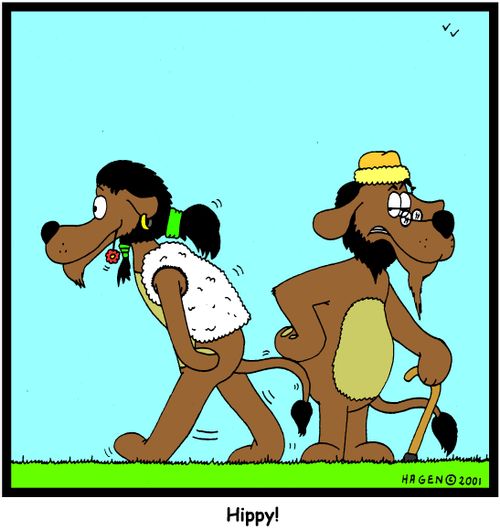 'Hippy!'