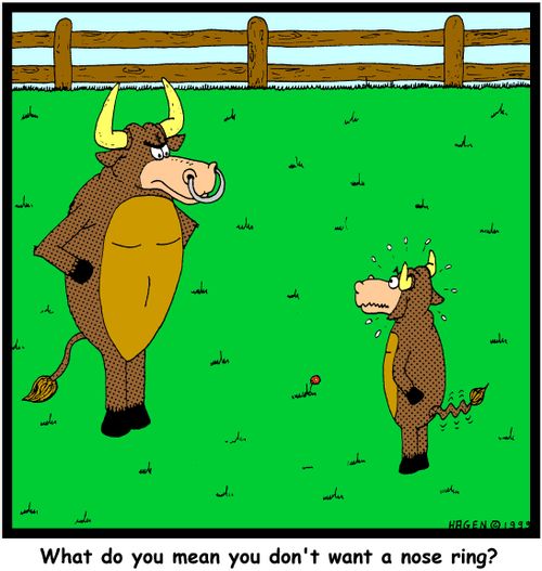 What do you mean you don't want a nose ring?