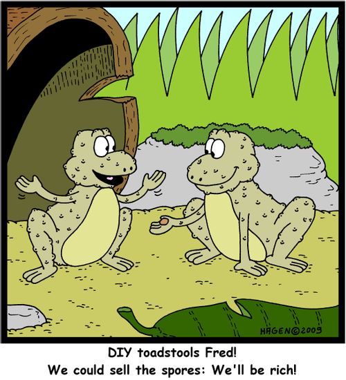 'DIY toadstools Fred! We could sell the spores: We'll be rich!'