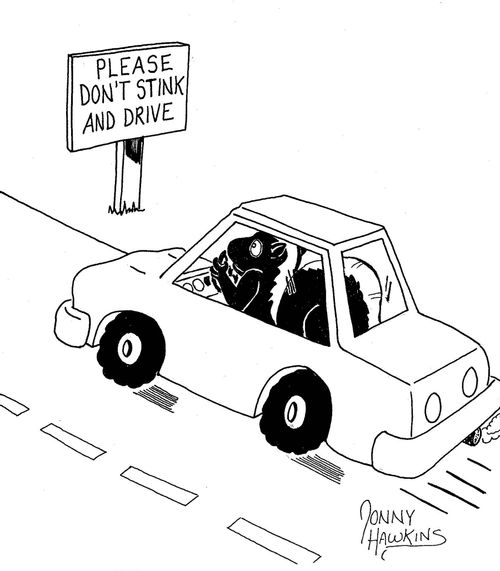 Skunk sees 'Please Don't Stink and Drive' sign.