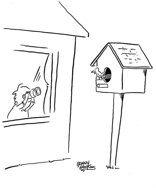 Kid sees cuckoo bird coming out of birdhouse.