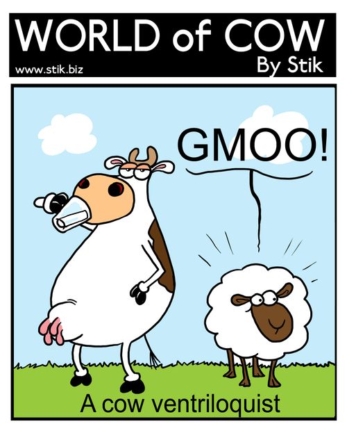 A cow ventriloquist.