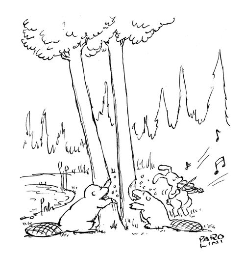 Beavers gnawing down trees.