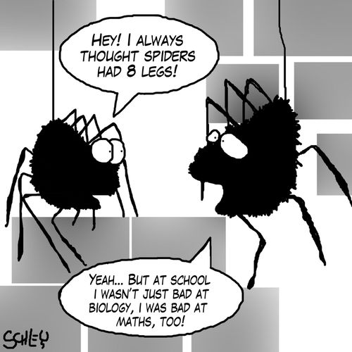 'Hey! I always thought spiders had 8 legs!'