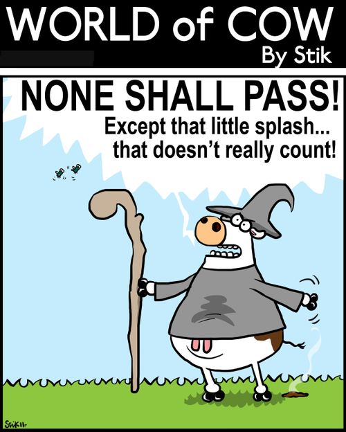 'NONE SHALL PASS! Except that little splash...that doesn't really count!'