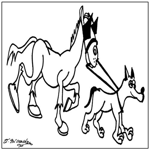 A seeing eye dog leads a horse with blinders on.