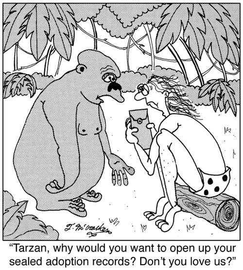 'Why would you want to open up your sealed adoption records? Don't you love us?'