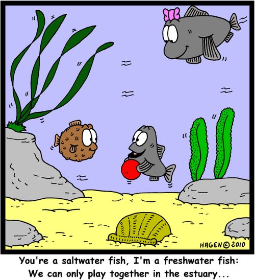 'You're a saltwater fish, I'm a freshwater fish: We can only play together in the estuary...'