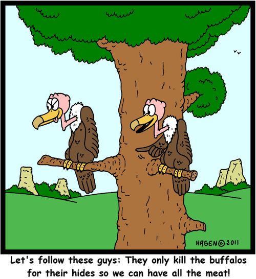 'Let's follow these guys: They only kill the buffalos for their hides so we can have all the meat!'