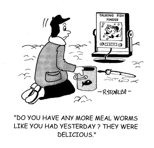 'Do you have any more meak worms like you had yesterday? They were delicious.'