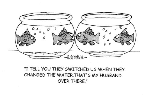 'I tell you they switched us when they changed the water. That's my husband over there.'