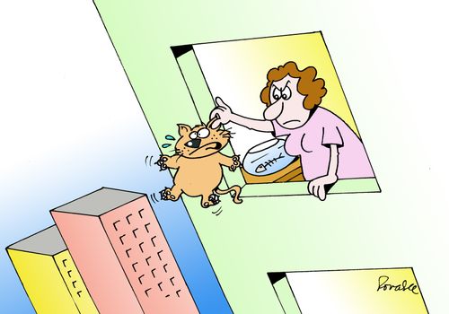 Cat punishement.