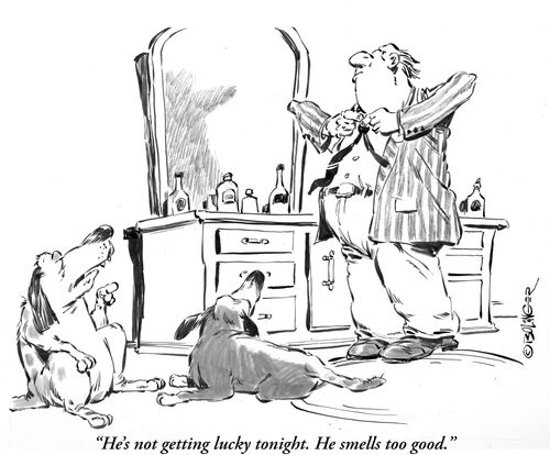 'He's not getting lucky tonight. He smells too good.'