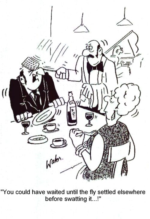 'You could have waited until the fly settled elsewhere before swatting it...!