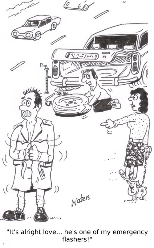 'It's alright love... he's one of my emergency flashers!'