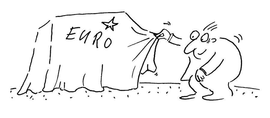 Uncovering the Euro