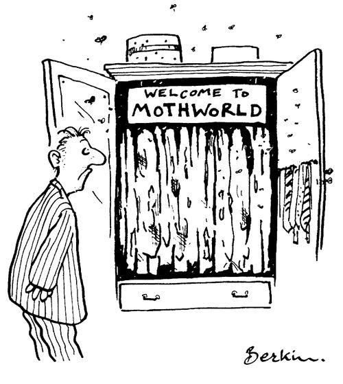 Welcome to Mothworld