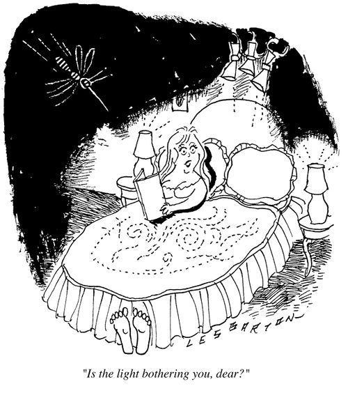"Is the light bothering you dear?"