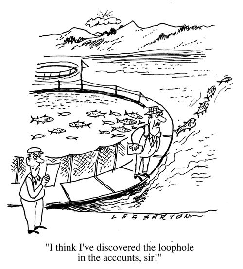 The Loophole