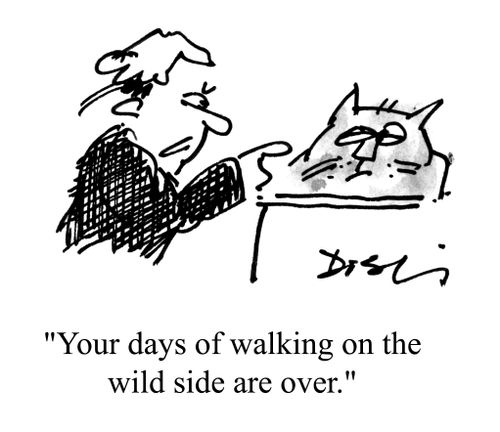 'Your days of walking on the wild side are over.'