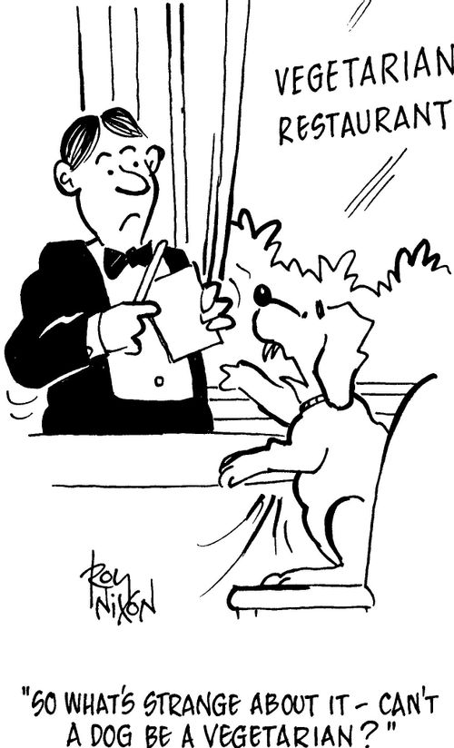 'So what's strange about it - can't a dog be a vegetarian?'