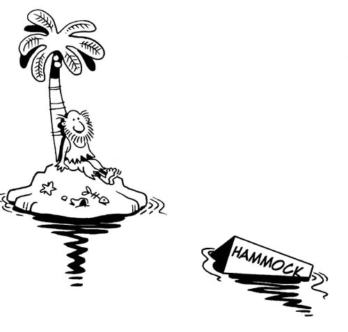 Hammock box comes floating towards a desert island - which only has one tree on.