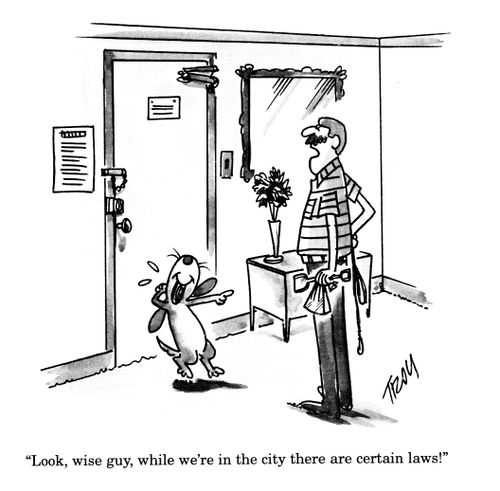 'Look, wise guy, while we're in the city there are certain laws!'