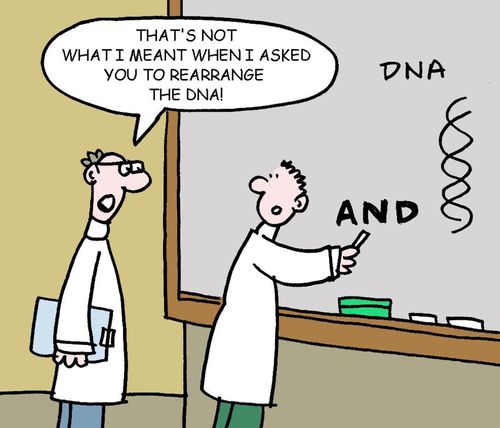 "That's not what I meant when I asked you to rearrange the DNA!" (Scientist has drawn 'AND' on the board).