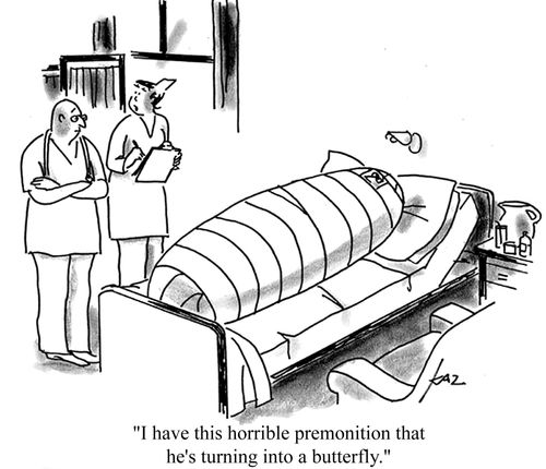 'I have this horrible premonition that he's turning into a butterfly.'