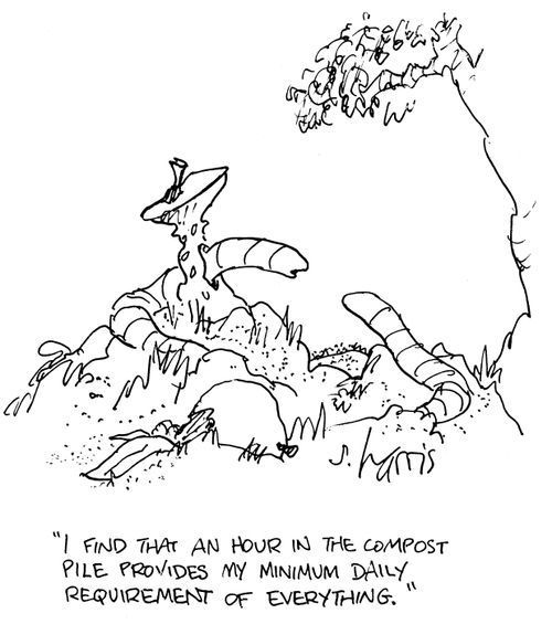 'I find that an hour in the compost pile provides my minimum daily requirement of everything.'