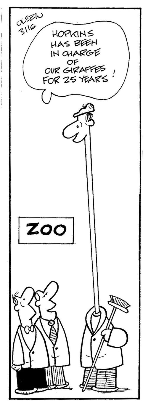 Hopkins has been in charge of giraffes for 25 years.