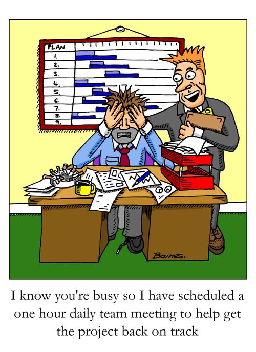 "I know you're busy, so I have scheduled a one hour daily team meeting to help get the project back on track."