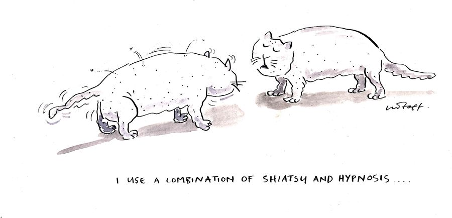 'I use a combination of shiatsu and hypnosis...'