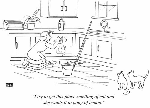 'I try to get this place smelling of cat and she wants it to pong of lemon.'