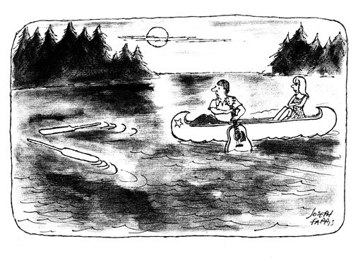 Man paddling a canoe with a guitar to get oars
